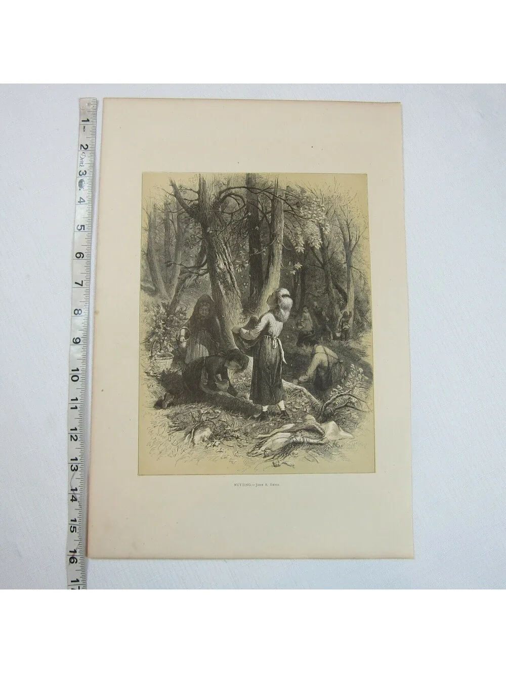 Antique 1873 Wood Engraving Print Nutting by John S. Davis, The Aldine, Children